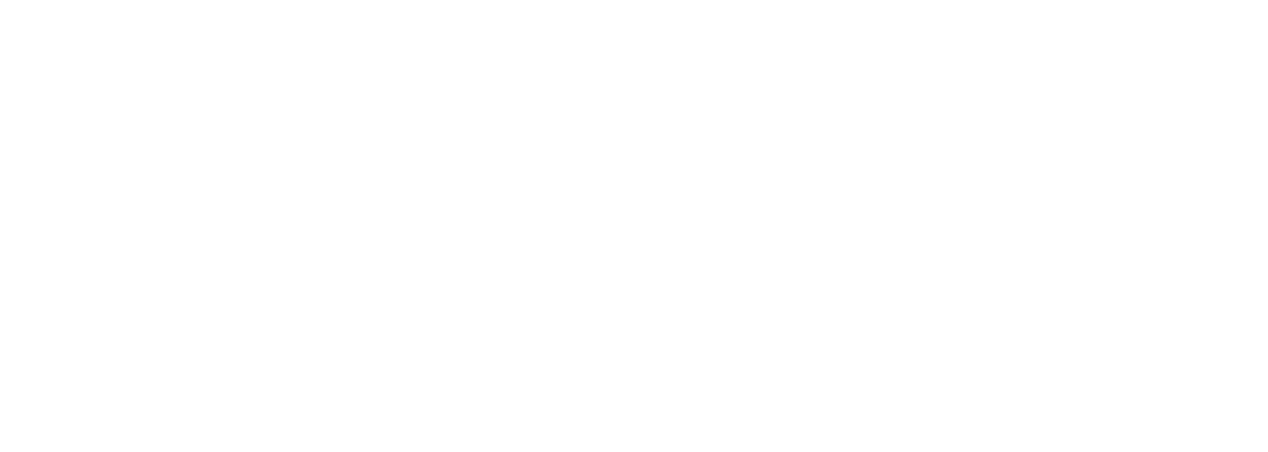 Zana white logo
